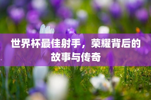 世界杯最佳射手，荣耀背后的故事与传奇