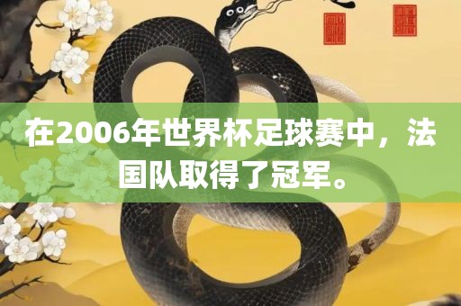 在2006年世界杯足球赛中，法国队取得了冠军。