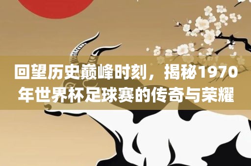 回望历史巅峰时刻，揭秘1970年世界杯足球赛的传奇与荣耀