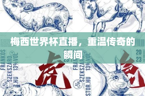 梅西世界杯直播，重温传奇的瞬间