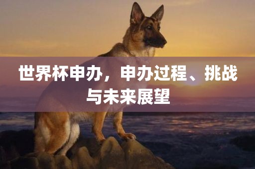 世界杯申办，申办过程、挑战与未来展望