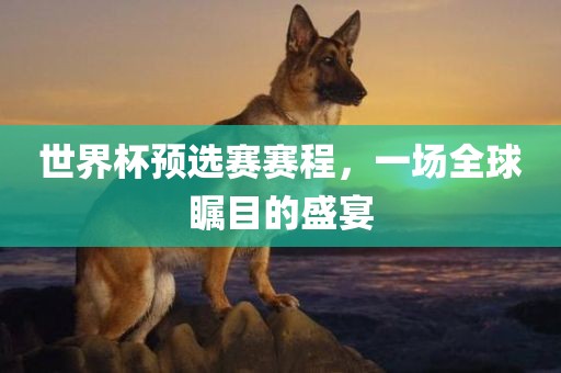 世界杯预漯河市盈旭机械设备有限公司选赛赛程，一场全球瞩目的盛宴