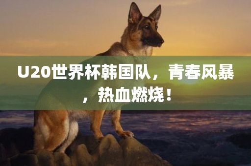 U20世界杯韩国队，青春风暴，热血燃烧！