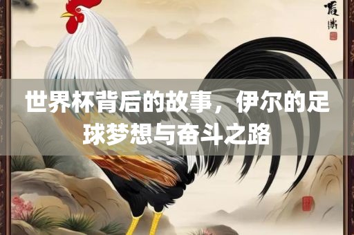 世界杯背后的故事，伊尔的足球梦想与奋斗之路