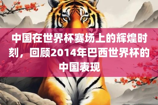 中国在世界杯赛场上的辉煌时刻，回顾2014年巴西世界杯的中国表现