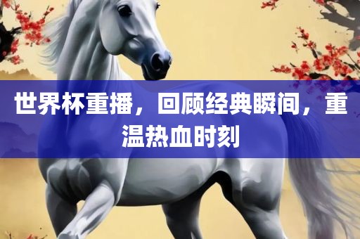世界杯重播，回顾经典瞬间，重温热血时刻