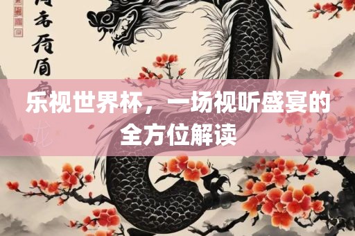 乐视世界杯，一场视听盛宴的全方位解读