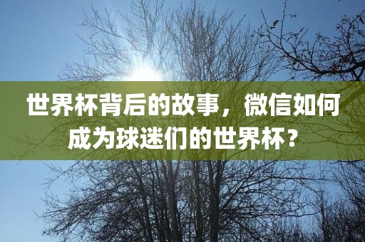 世界杯背后的故事，微信如何成为球迷们的世界杯？