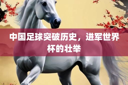 中国足球突破历史，进军世界杯的壮举