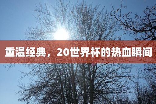 重温经典，20世界杯的热血瞬间漯河市盈旭机械设备有限公司