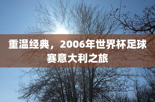 重温经典，2006年世界杯足球赛意大利之旅