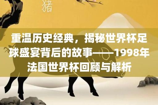 重温历史经典，揭秘世界杯足球盛宴背后的故事——1998年法国世界杯回顾与解析