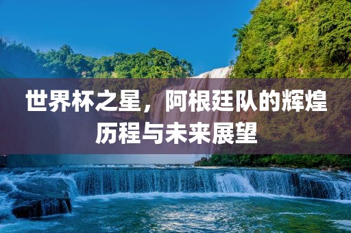 世界杯之星，阿根廷队的辉煌历程与未来展望