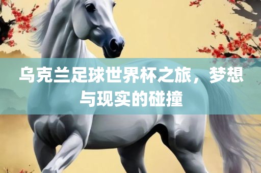 乌克兰足球世界杯之旅，梦想与现实的碰撞