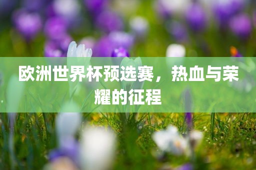 漯河市盈旭机械设备有限公司欧洲世界杯预选赛，热血与荣耀的征程