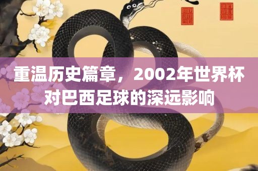 重温历史篇章，2002年世界杯对巴西足球的深远影响