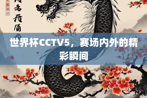 世界杯CCTV5，赛场内外的精彩瞬间