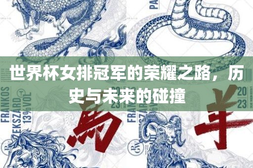 世界杯女排冠军的荣耀之路，历史与未来的碰撞