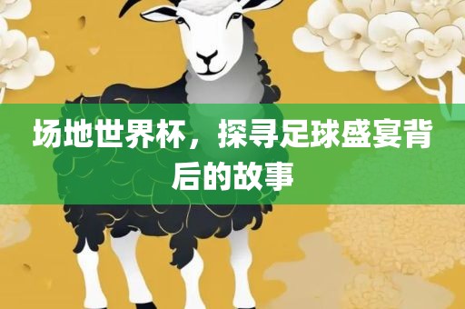 场地世界杯，探寻足球盛宴背后的故事漯河市盈旭机械设备有限公司