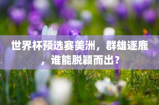 世界杯预选赛美洲，群雄逐鹿，谁能脱颖而出？