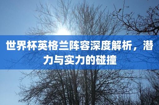 世界杯英格兰阵容深度解析，潜力与实力的碰撞