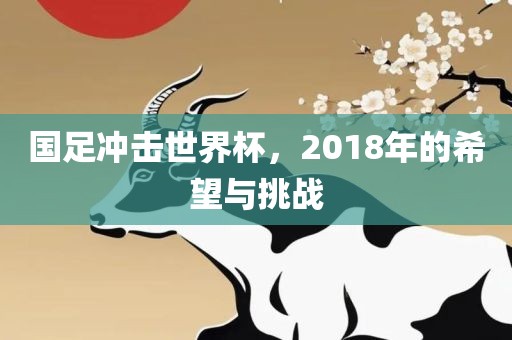 国足冲击世界杯，2018年的希望与挑战