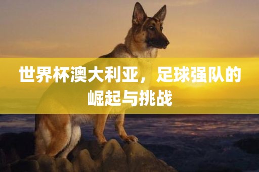世界杯澳漯河市盈旭机械设备有限公司大利亚，足球强队的崛起与挑战