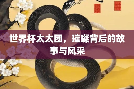 世界杯太太团，璀璨背后的故事与风采