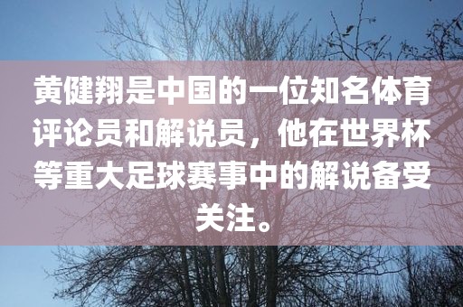 黄健翔是中国的一位知名体育评论员和解说员，他在世界杯等重大足球赛事中的解说备受关注。
