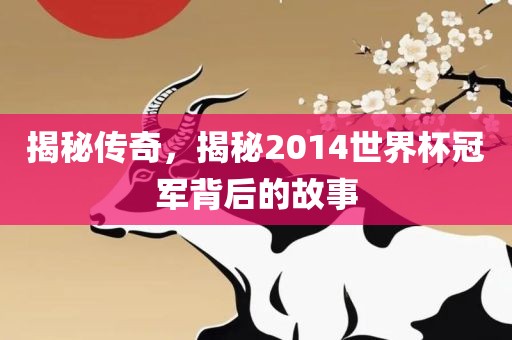 揭秘传奇，揭秘2014世界杯冠军背后的故事