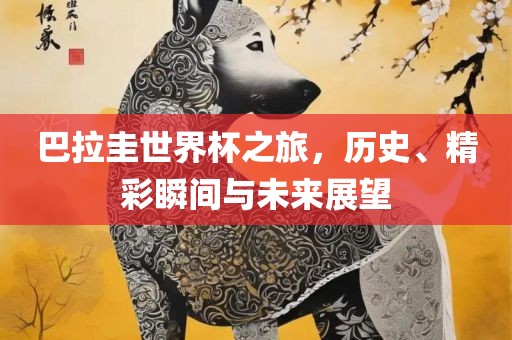 巴拉圭世界杯之旅，历史、精彩瞬间与未来展望