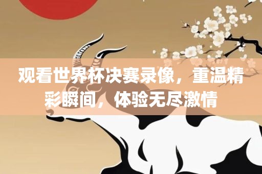 观看世界杯决赛录像，重温精彩瞬间，体验无尽激情