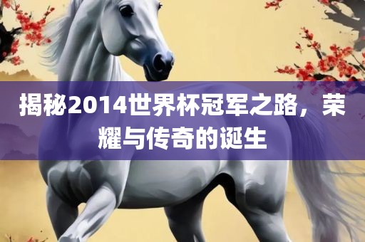 揭秘2014世界杯冠军之路，荣耀与传奇的诞生
