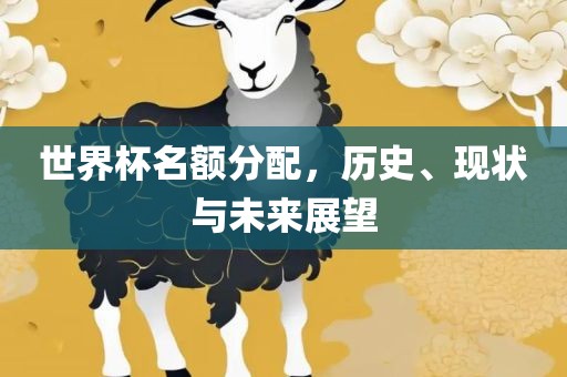 世界杯名额分配，历史、现状与未来展望