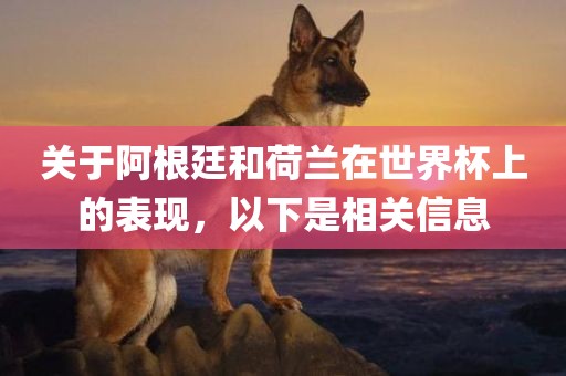 关于阿根廷和荷兰在世界杯上的表现，以下是相关信息