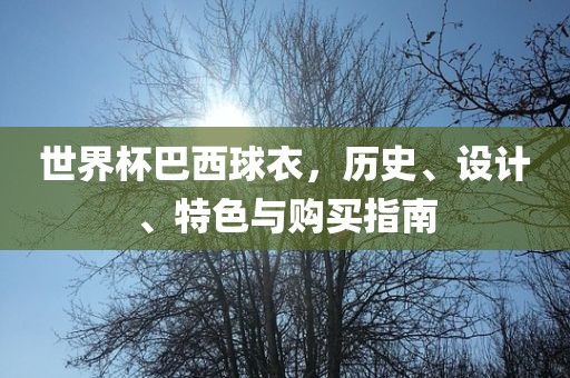 世界杯巴西球衣，历史、设计、特色与购买指南