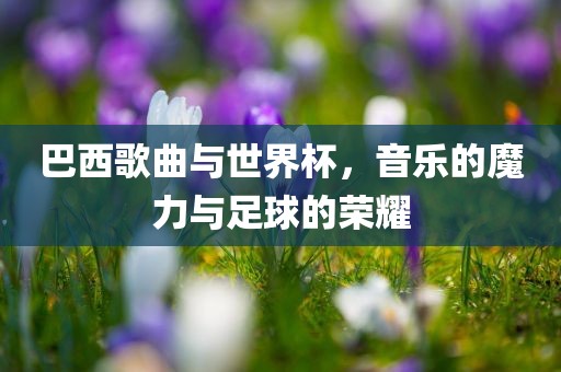 巴西歌曲与世界杯，音乐的魔力与足球的荣耀