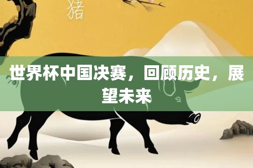 世界杯中国决赛，回顾历史，展望未来