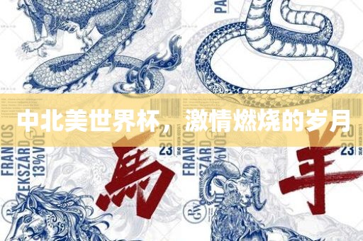 中北美世界杯，激情燃烧的岁月