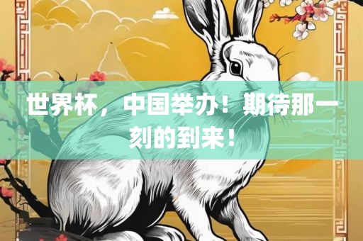 世界杯，中国举办！期待那一刻的到来！