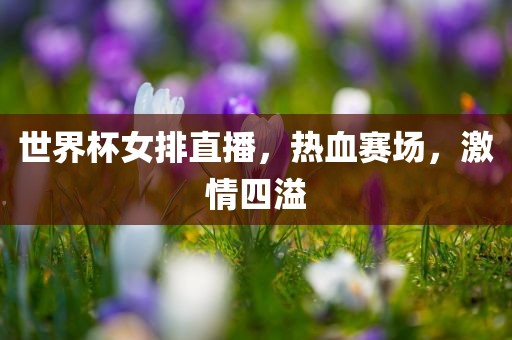 世界杯女排直播，热血赛场，激情四溢