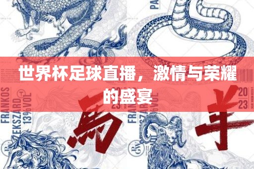 世界杯足球直播，激情与荣耀的盛宴