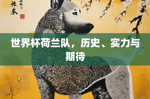 世界杯荷兰队，历史、实力与期待
