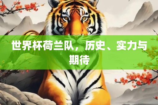 世界杯荷兰队，历史、实力与期待