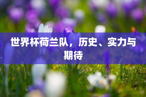 世界杯荷兰队，历史、实力与期待