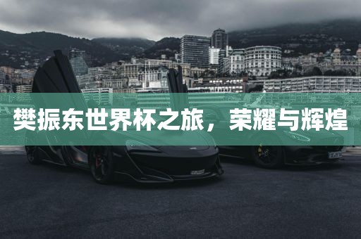 樊振东世界杯之旅，荣耀与辉煌