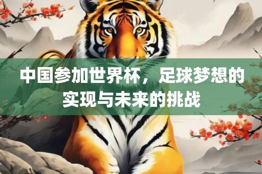 中国参加世界杯，足球梦想的实现与未来的挑战漯河市盈旭机械设备有限公司