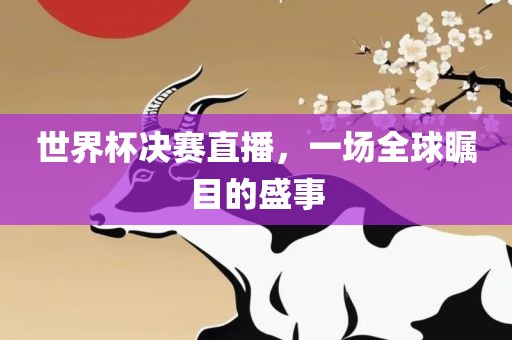 世界杯决赛直播，一场全球瞩目的盛事