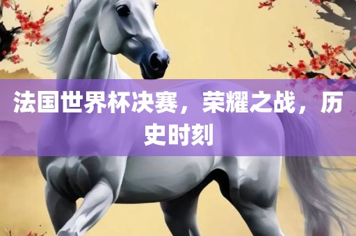 法国世界杯决赛，荣耀之战，历史时刻漯河市盈旭机械设备有限公司