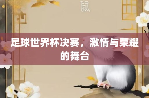 足球世界杯决赛，激情与荣耀的舞台